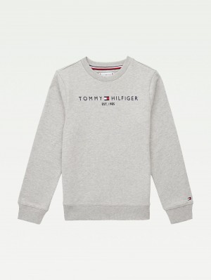 Tommy Hilfiger 8-16 Essential Tröjor Pojke Grå | 146-OIZEMH