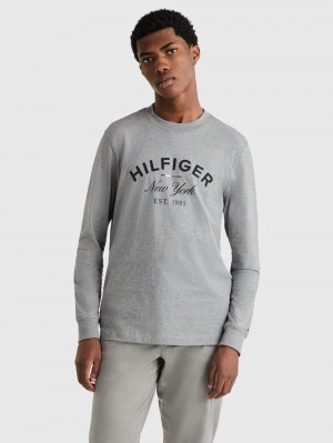 Tommy Hilfiger Bold T-shirt Herr Grå | 348-HOTEIG