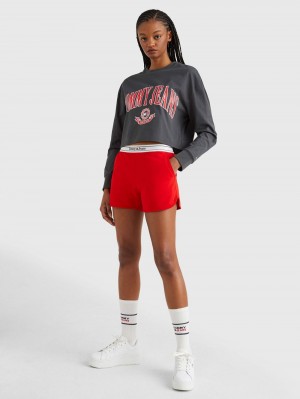 Tommy Hilfiger College Relaxed Cropped Long Sleeve T-shirt Dam Grå | 342-LGMKXH