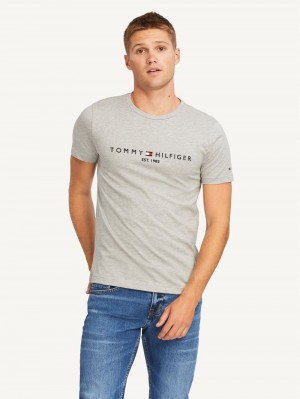 Tommy Hilfiger Core Logo T-shirt Herr Grå | 736-JGRZEF