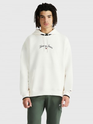 Tommy Hilfiger Logo Embroidery Relaxed Fit Hoodie Herr Vita | 214-APNKFW