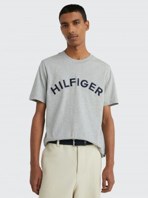 Tommy Hilfiger Logo Embroidery T-shirt Herr Grå | 176-LECHWG