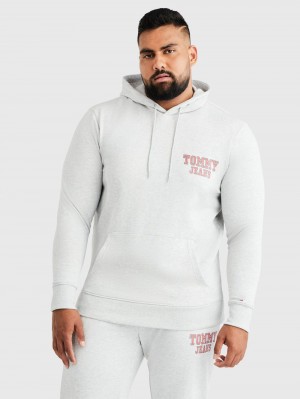 Tommy Hilfiger Plus Entry Hoodie Herr Grå | 496-RHEFCD