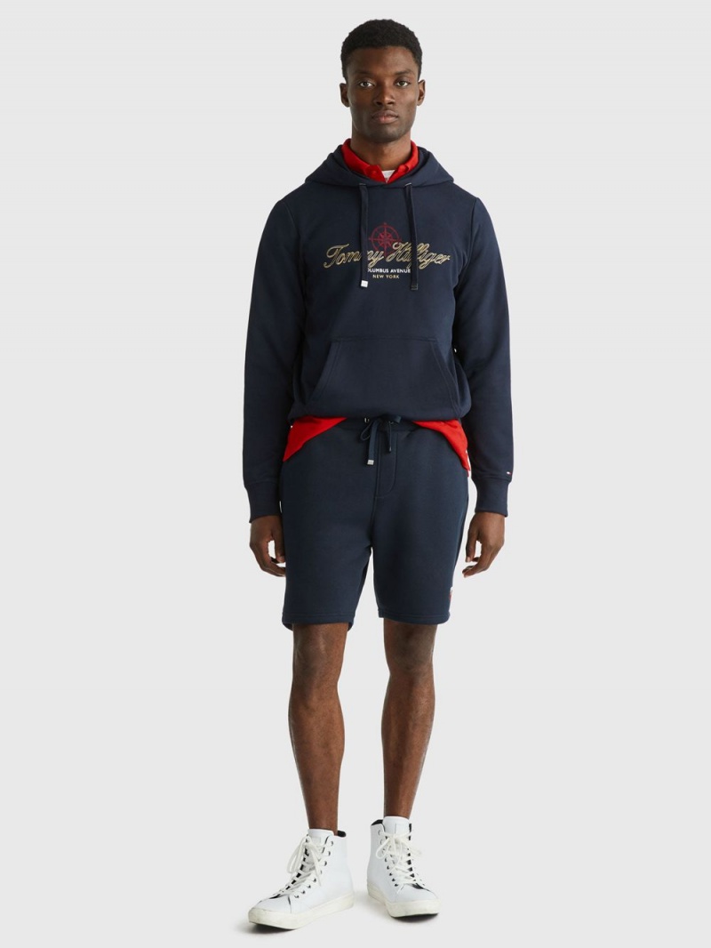 Tommy Hilfiger Gold Rwb Hoodie Herr Marinblå | 108-QBVGOT