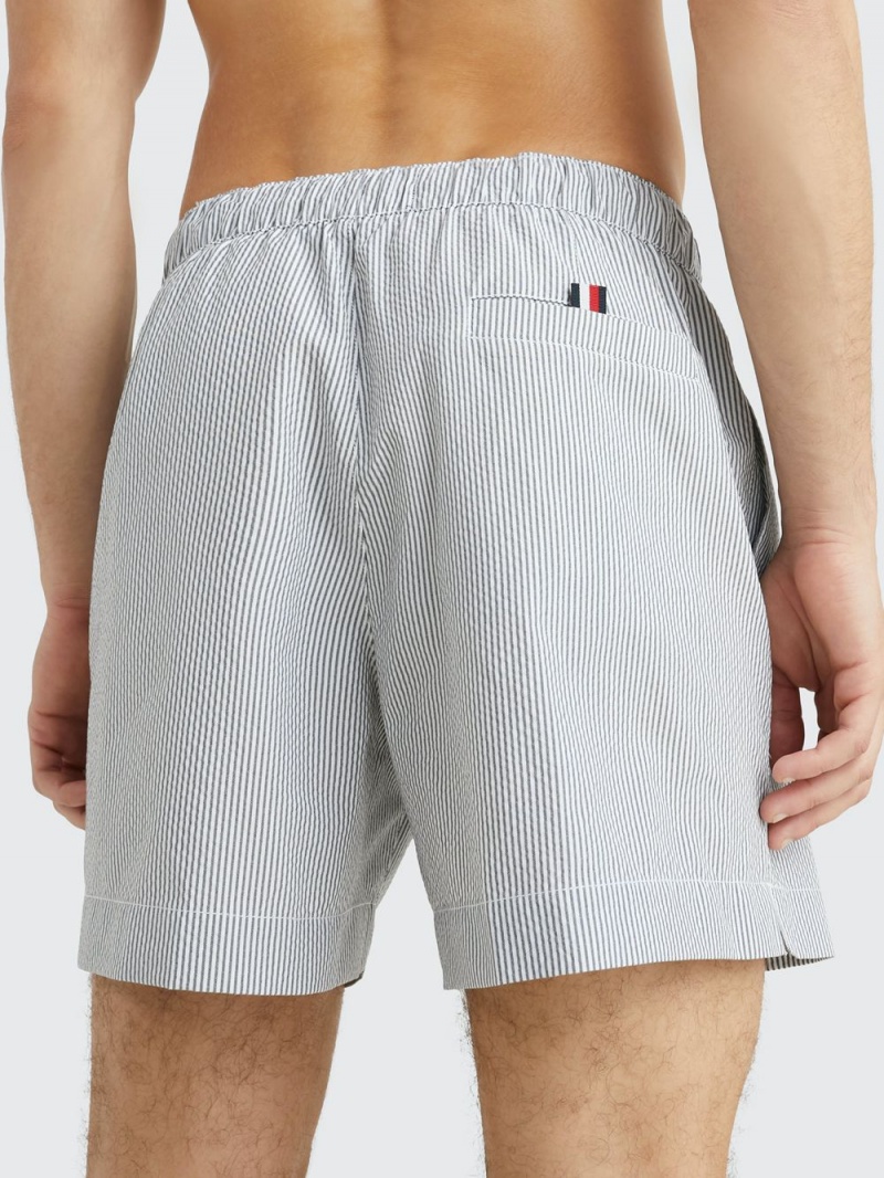 Tommy Hilfiger Ithaca Stripe Mid Length Badshorts Herr Grå | 803-JFPXGU