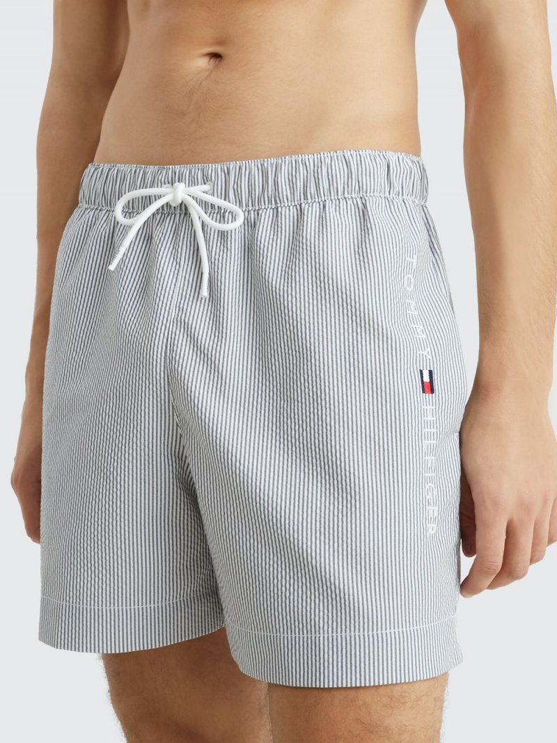 Tommy Hilfiger Ithaca Stripe Mid Length Badshorts Herr Grå | 803-JFPXGU