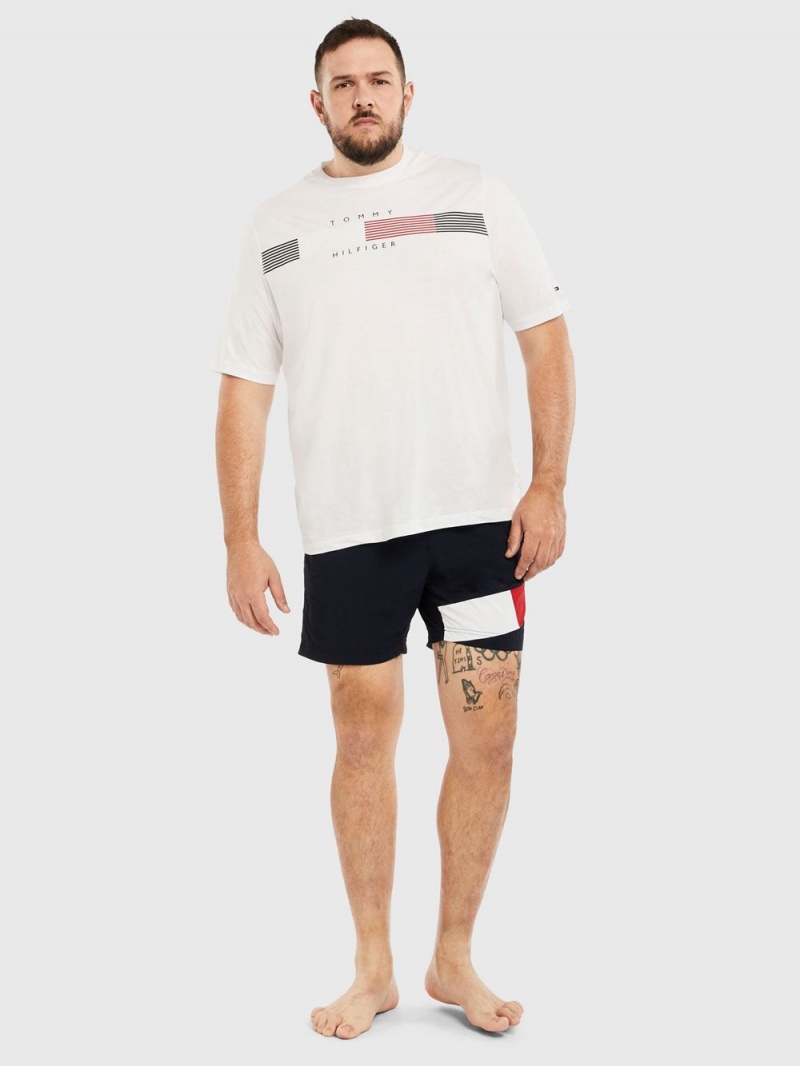 Tommy Hilfiger Plus Flag Mid Length Badshorts Herr Marinblå | 932-TJICHS