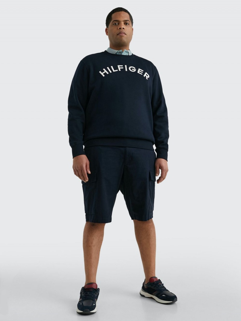 Tommy Hilfiger Plus Logo Embroidery Archive Fit Tröjor Herr Marinblå | 793-JPESCQ