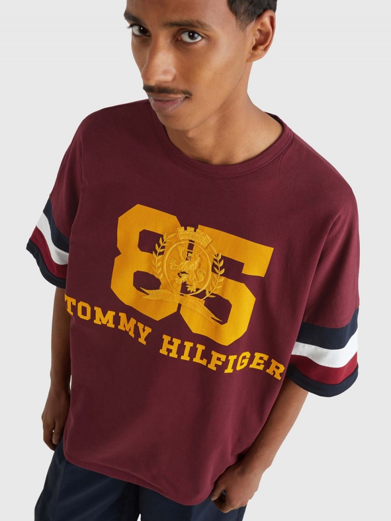 Tommy Hilfiger Thl Oversized Reversible Varsity T-shirt Herr Röda | 308-ORAFYH