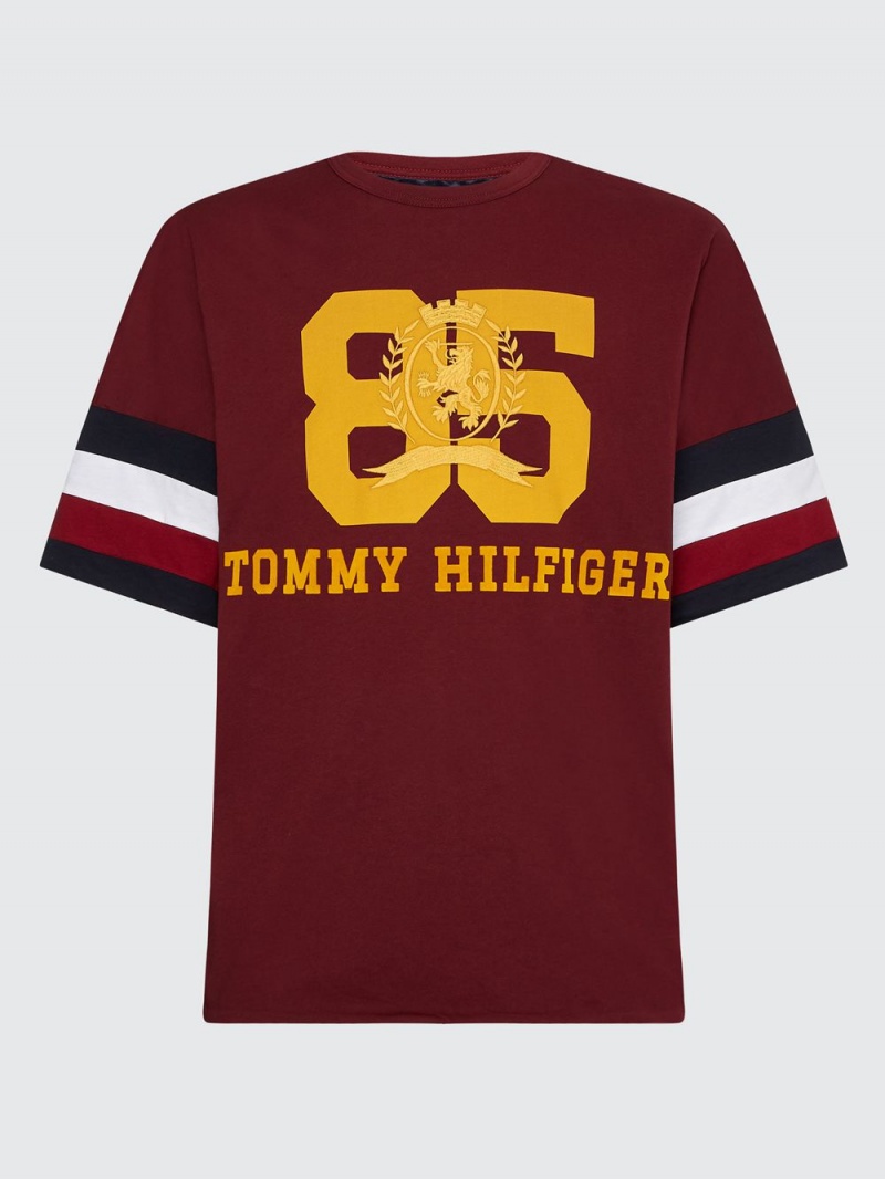 Tommy Hilfiger Thl Oversized Reversible Varsity T-shirt Herr Röda | 308-ORAFYH